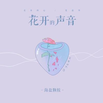 花开的声音 - 海盐颗粒封面
