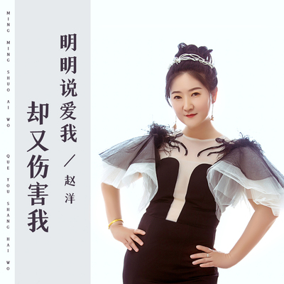明明说爱我却又伤害我 (DJ花哨版)封面