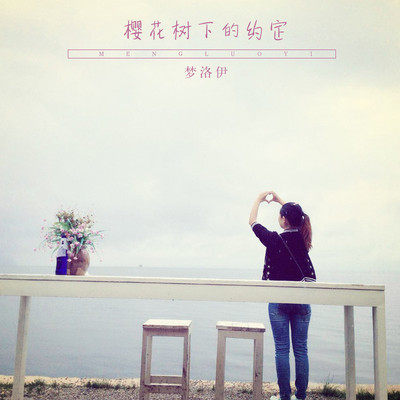 没毛病封面