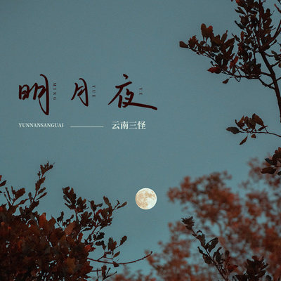 明月夜封面