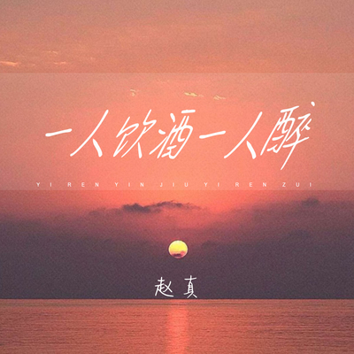 一人饮酒一人醉 (DJ默涵版)封面