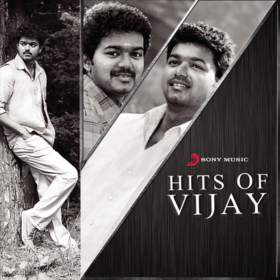 Molachu Moonu (From "Velayudham")封面