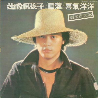 奈何封面