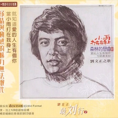 小雨打在我身上封面
