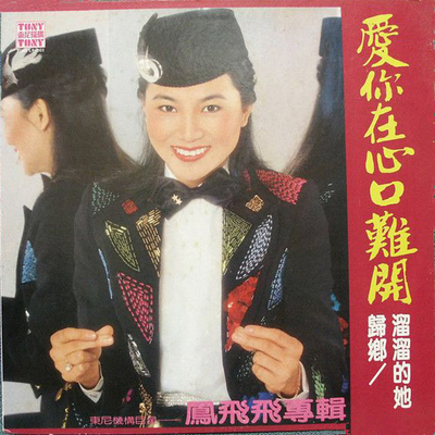 溜溜的她封面