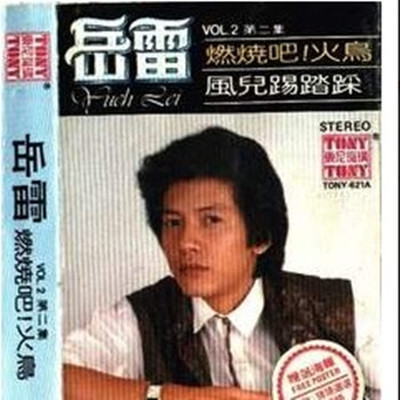 风儿踢踏踩封面