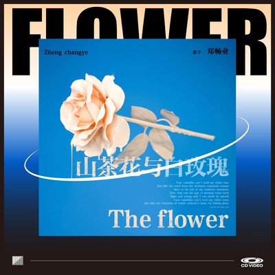 山茶花与白玫瑰封面