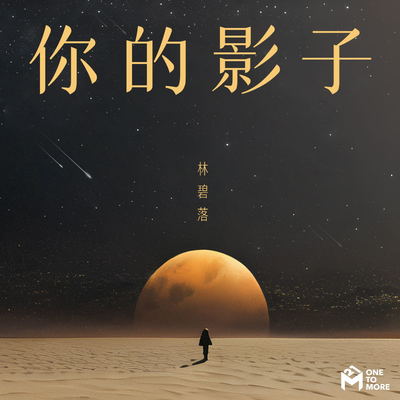 你的影子封面
