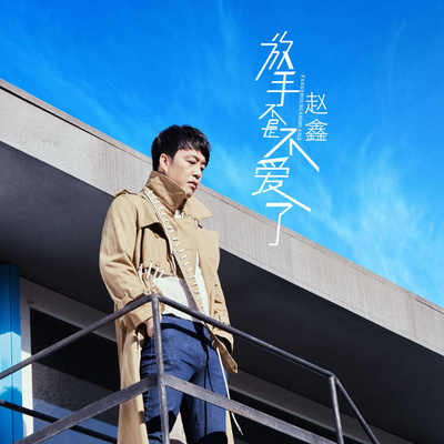 放手不是不爱了(Dj何鹏版)封面