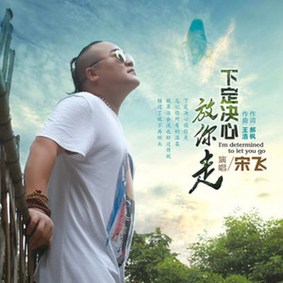 下定决心放你走封面
