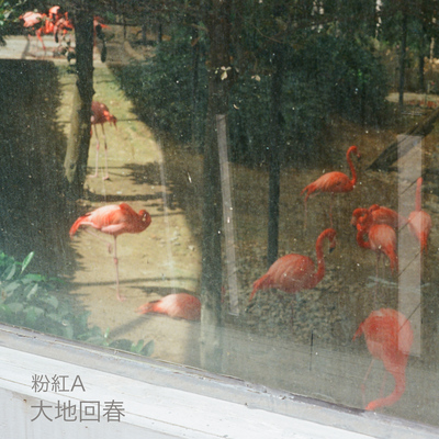 大地回春 - Radio Mix - 粉红A封面