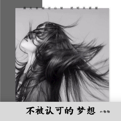 不被认可的梦想（完整版）封面
