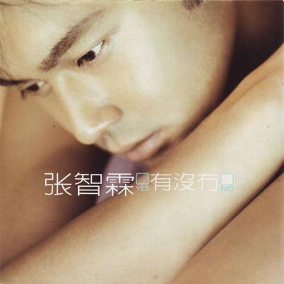 不说谎的男人 - 张智霖封面