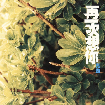 楼下有人封面