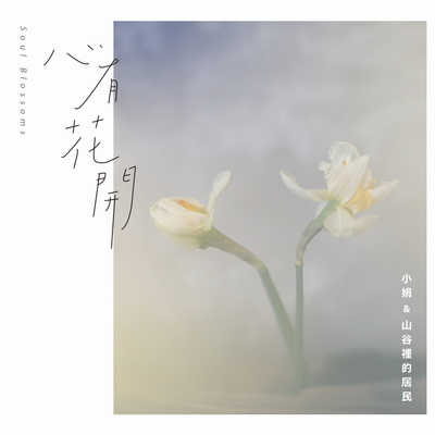 愿望封面