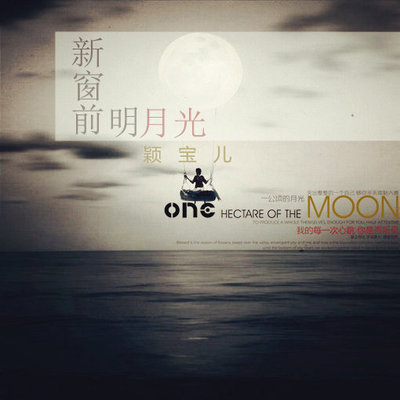 时间的千纸鹤封面
