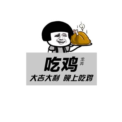 吃鸡 (DJ版) - 龙奔封面