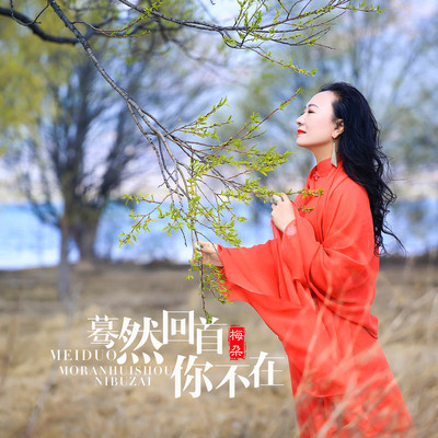 蓦然回首你不在(伴奏)封面