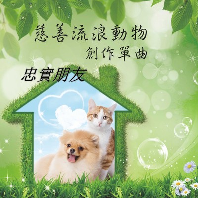 忠实朋友（慈善流浪动物创作单曲）封面