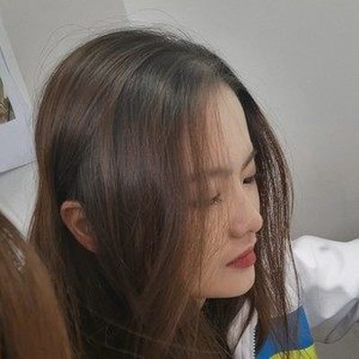 向日葵的花语封面