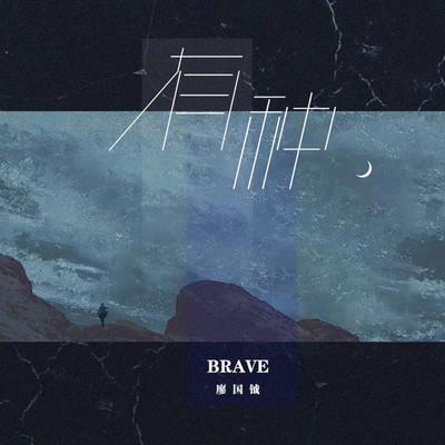 有种 (伴奏)封面