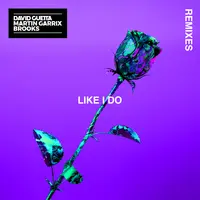 Like I Do (Edson Faiolli Remix)