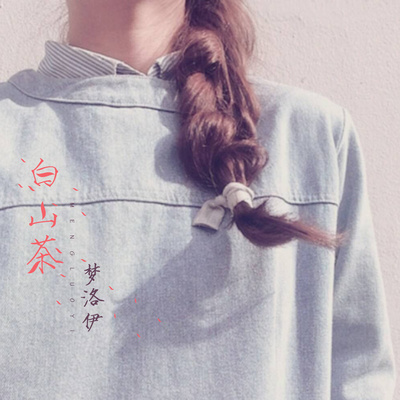 大好时光 - 梦洛伊封面