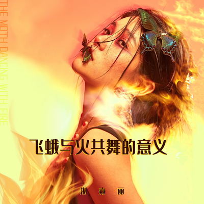 飞蛾与火共舞的意义(伴奏)封面