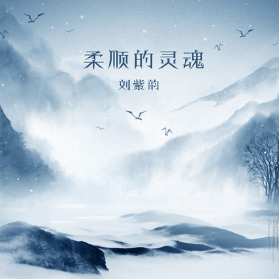 柔顺的灵魂 - 刘紫韵封面