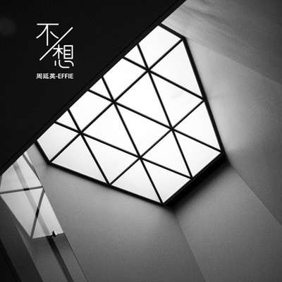 不想 (伴奏)封面