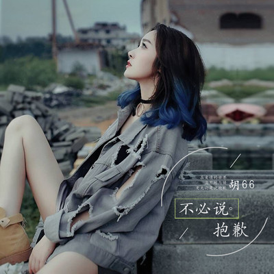 不必说抱歉 (伴奏) - 胡66封面