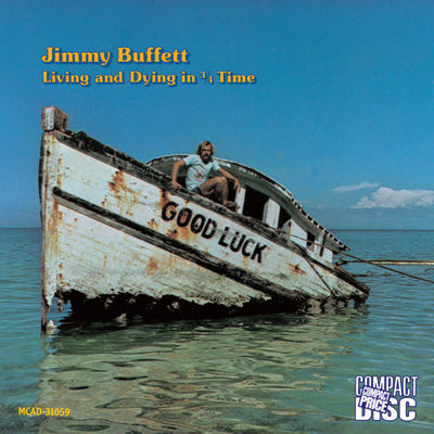 Brand New Country Star (Album Version)封面