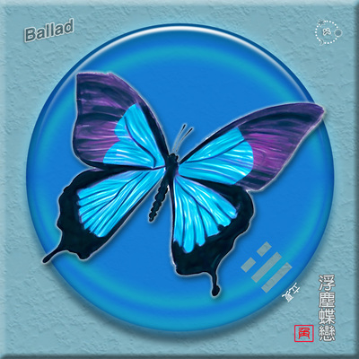 辗转难眠封面