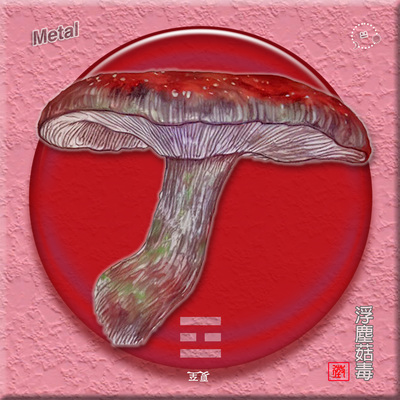 天地封面