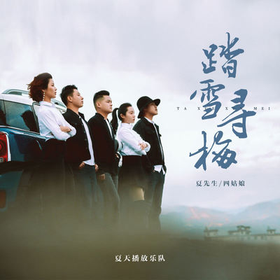 踏雪寻梅DJ版封面
