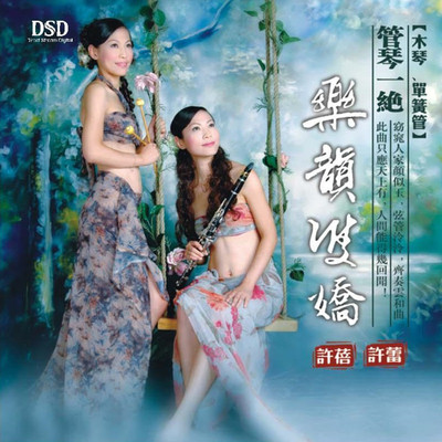 达坂城的姑娘封面