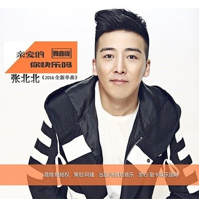 亲爱的你快乐吗(Dj版)封面