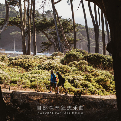 飞花封面