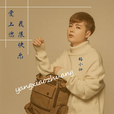 爱上你我很快乐 (伴奏) - 杨小壮封面
