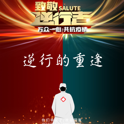 逆行的重逢封面