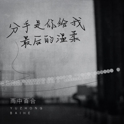 分手是你给我最后的温柔 (伴奏)封面