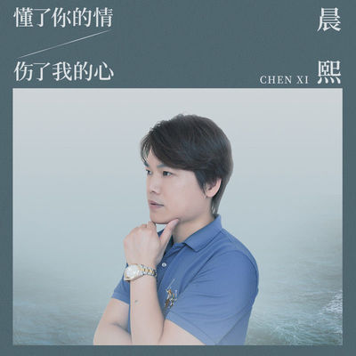 懂了你的情伤了我的心 (伴奏) - 晨熙封面