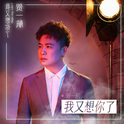 我又想你了 (伴奏)封面