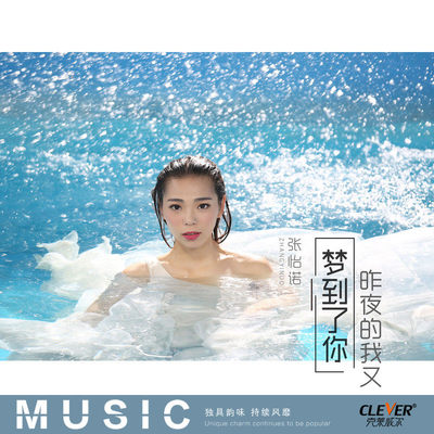 昨夜的我又梦到了你封面