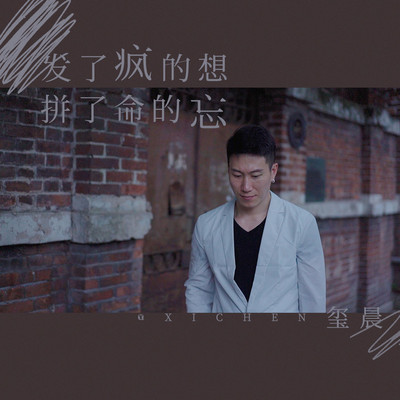 发了疯的想拼了命的忘(伴奏)封面