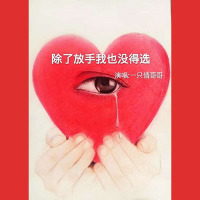 除了放手我也没得选(伴奏)封面