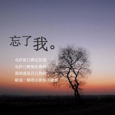 忘了我封面