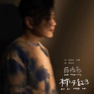 柿子红了(伴奏)封面