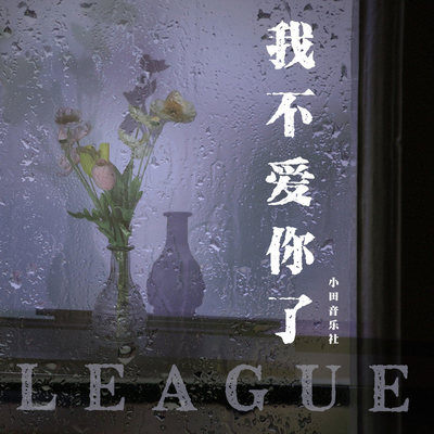 我不爱你了封面