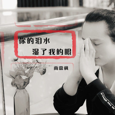 你的泪水湿了我的眼 - 雨霖枫封面